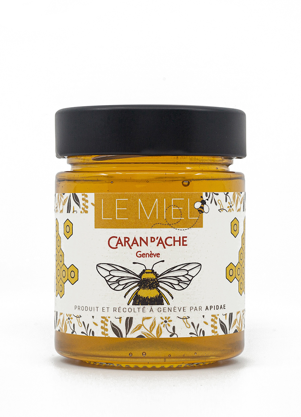 adoption-de-ruche-geneve-11